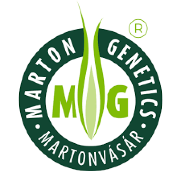 MARTON GENETICS